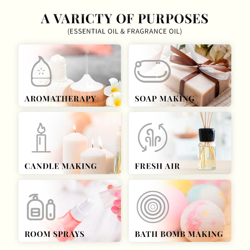 EVOKE OCCU100ML Essential Oils, Lavender Vanilla Eucalyptus Jasmine Rose Mint Oil for Diffuser, Humidifier, Scented Candle, Soap